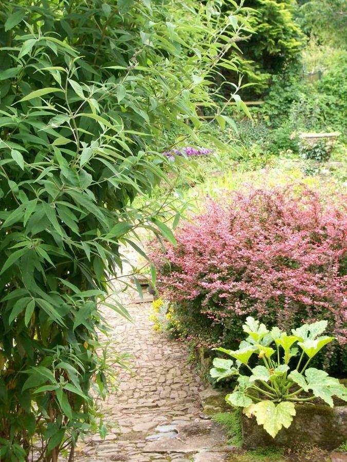 Middletown Farmhouse B&B Okehampton Buitenkant foto