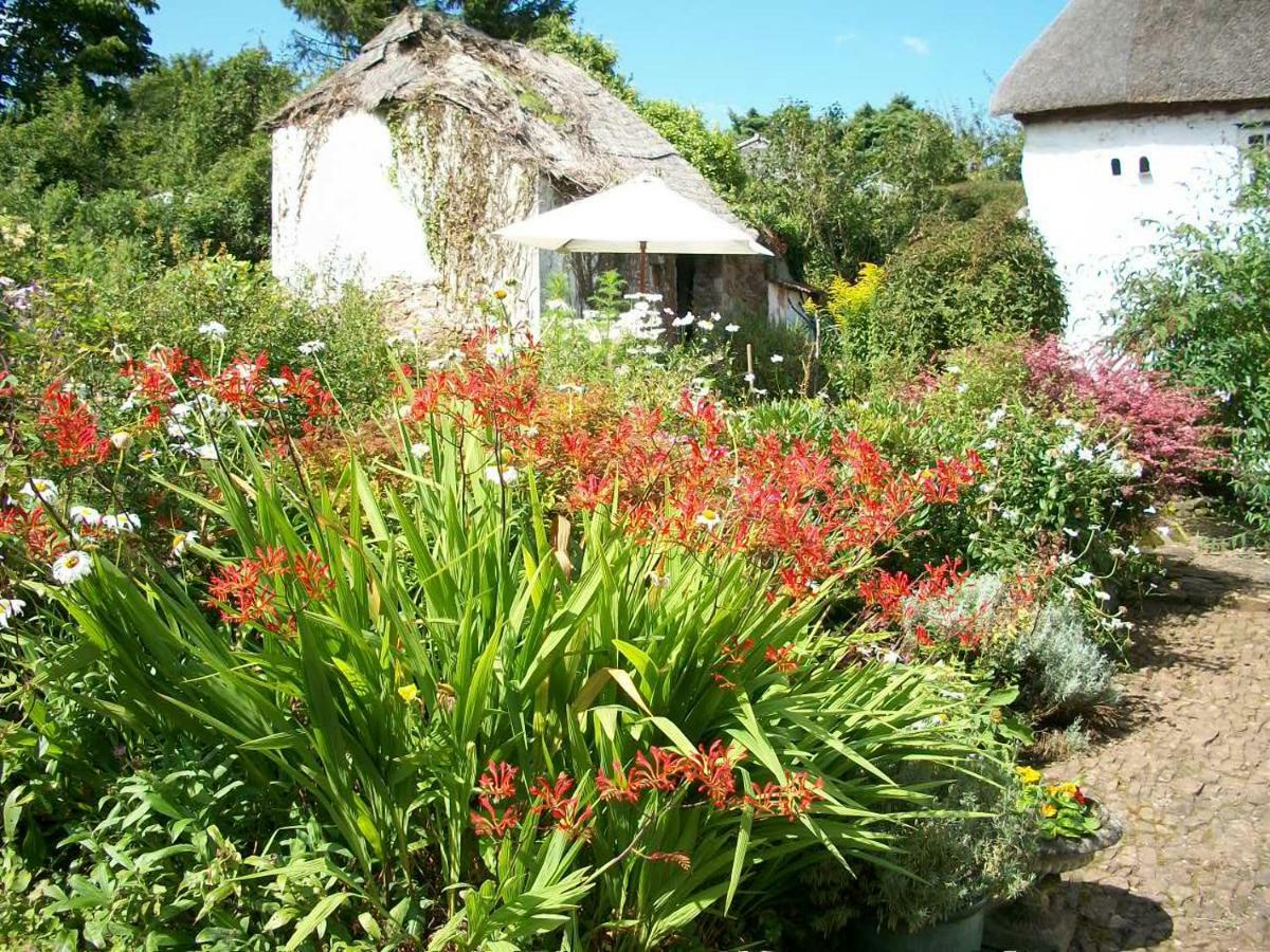 Middletown Farmhouse B&B Okehampton Buitenkant foto