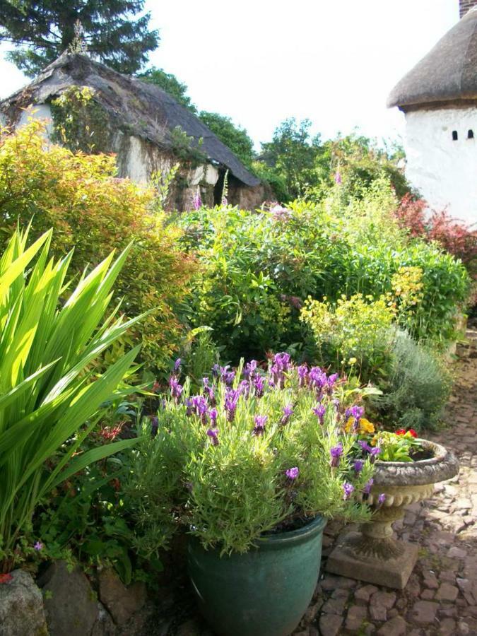 Middletown Farmhouse B&B Okehampton Buitenkant foto