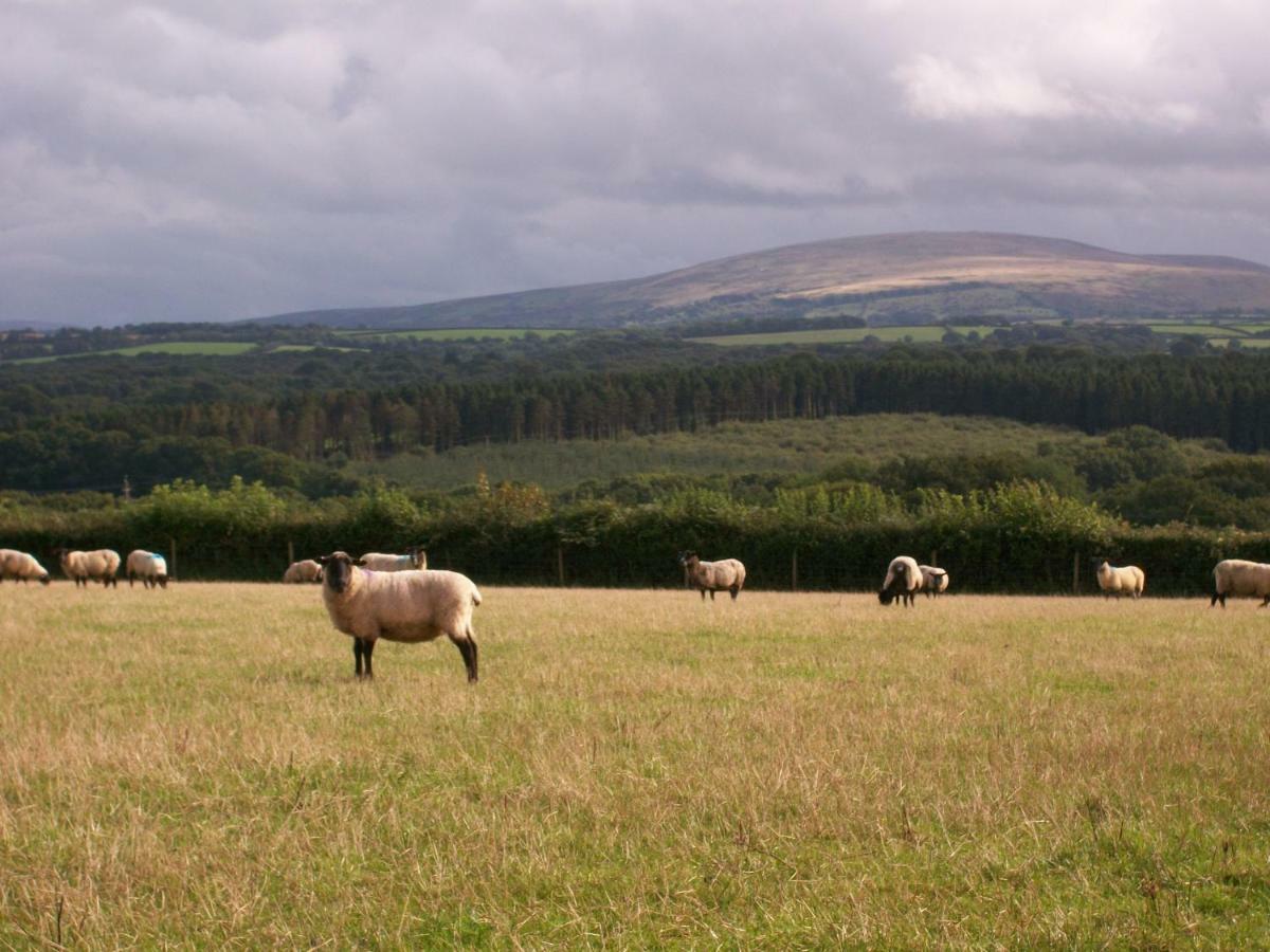 Middletown Farmhouse B&B Okehampton Buitenkant foto